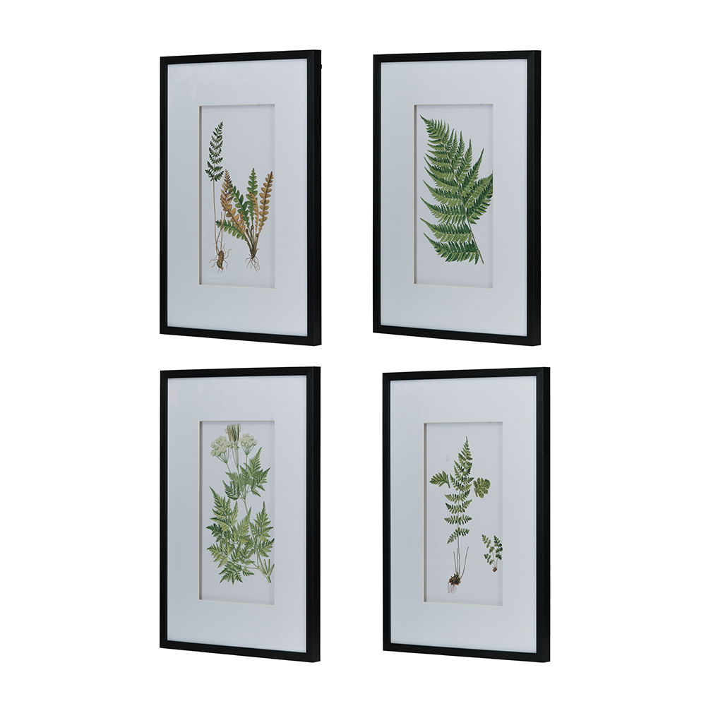 Botanical And Fern Wall Art, Wall Decor For Living Room Dining Room Entryway (Set of 4) - White / Black