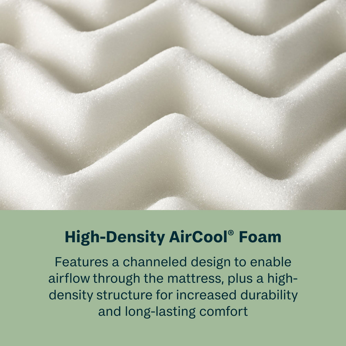 Radiant Dream - 10" Memory Foam Firm Mattress in a Box