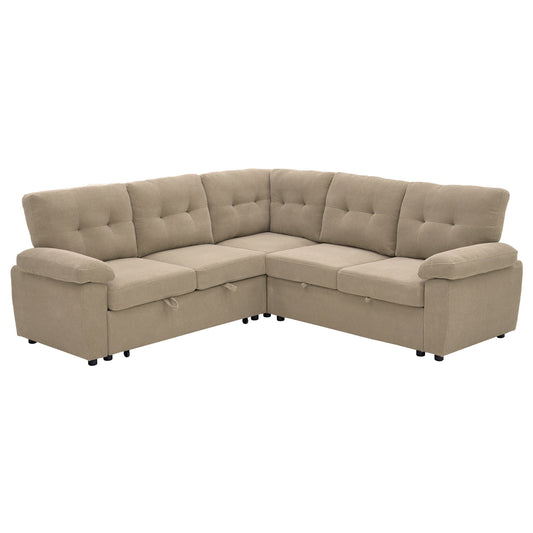 Convertible Sectional Sofa Bed & Pull Out Sleeper And Storage