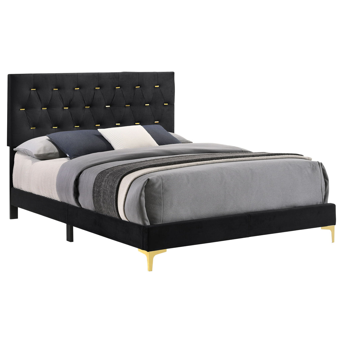 Lexie - Tufted Panel Bed