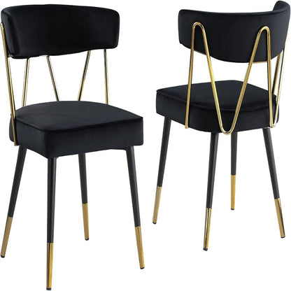 Glam Dining Chair (Set of 2)