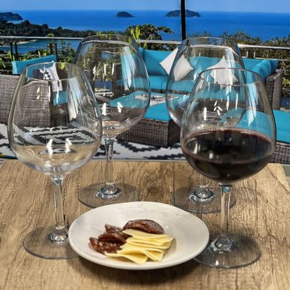 Leadingware Plastic Wine Glasses (Set of 4), Unbreakable Bpa Free Tritan 23Oz - Clear