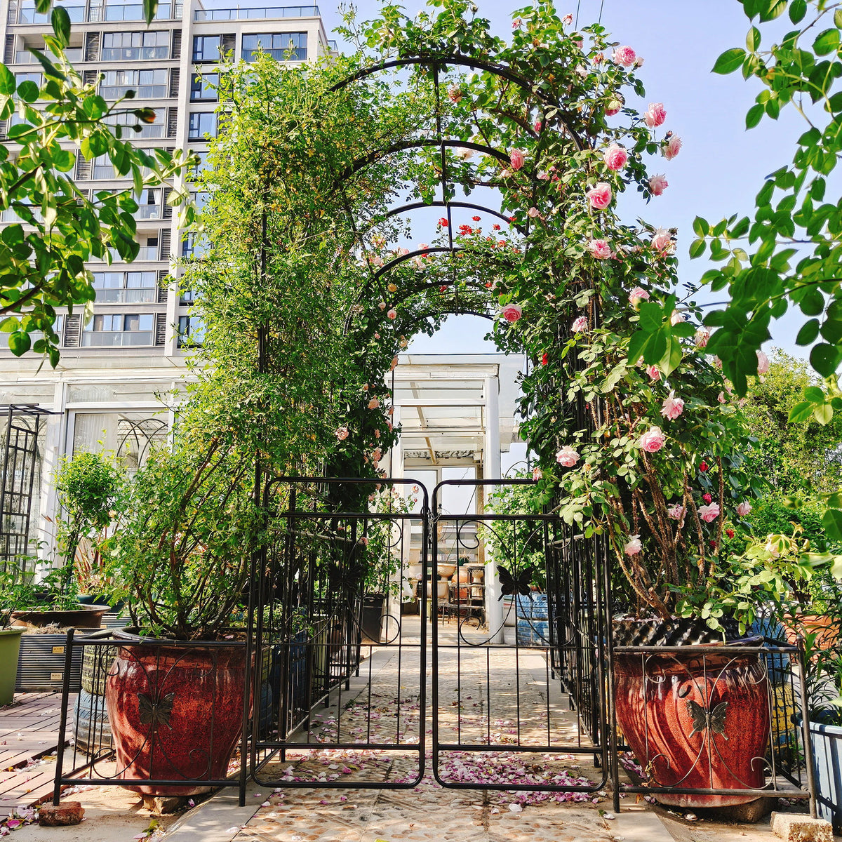 Metal Garden Arch With Gate High Climbing Plants Support Rose Arch Outdoor - Black