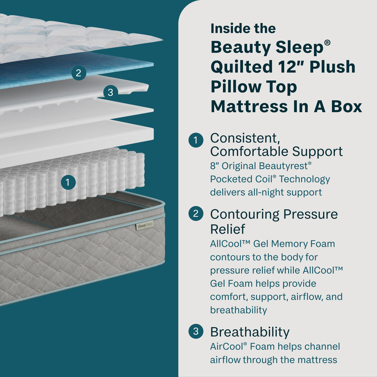 Soothing Nights - 12" Plush Pillow Top Mattress In A Box