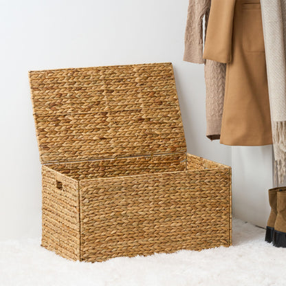 Ludmila - Rectangular Storage Trunk