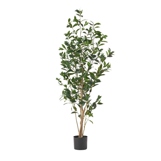 Artificial Laurel Tree