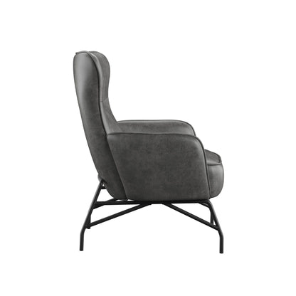 Contemporary Style Accent Chair