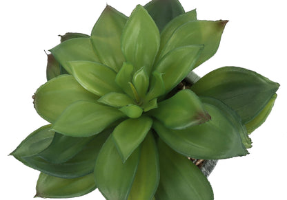 6" Tall, Artificial Plant, Succulent, Indoor, Faux, Fake, Table, Greenery, Potted, Decorative (Set of 2) - Green