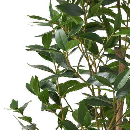 Artificial Laurel Tree