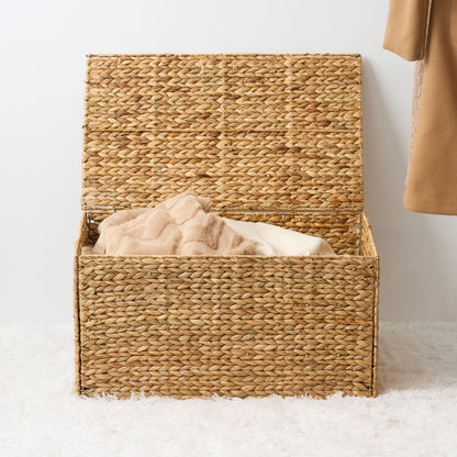 Ludmila - Rectangular Storage Trunk