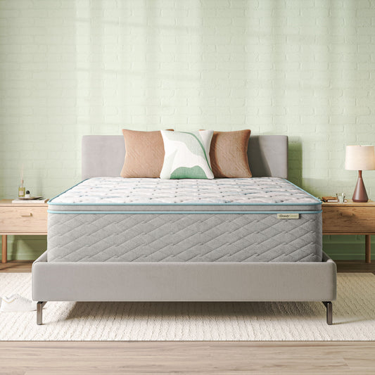Soothing Nights - 16" Plush Pillow Top Mattress In A Box
