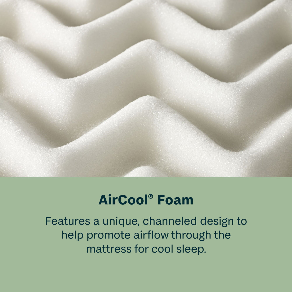 Peaceful Morning - 12.25" Medium Euro Top Mattress