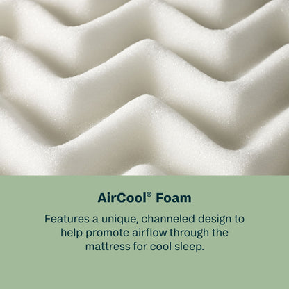 Peaceful Morning - 12.25" Medium Euro Top Mattress